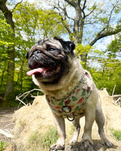 Load image into Gallery viewer, D ring Adjustable Harness - Jurassic Bark