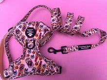 Load image into Gallery viewer, D Ring Harness - Ruff Beer