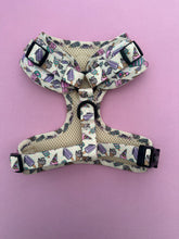 Load image into Gallery viewer, D ring Adjustable harness - Worth Melting For