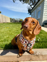 Load image into Gallery viewer, D Ring Harness - Ruff Beer