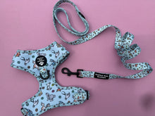Load image into Gallery viewer, D ring Adjustable harness - Ohana means family