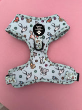 Load image into Gallery viewer, D ring Adjustable harness - Ohana means family