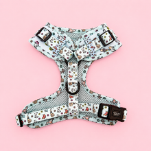 Load image into Gallery viewer, D ring Adjustable harness - Ohana means family