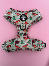 Load image into Gallery viewer, D ring Adjustable Harness - Jurassic Bark