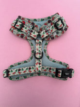 Load image into Gallery viewer, D ring Adjustable Harness - Jurassic Bark