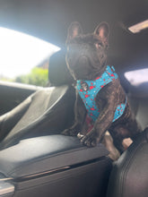 Load image into Gallery viewer, Adjustable Harness - Just be-claws I Love you