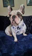 Load image into Gallery viewer, Adjustable Harness - Frenchie Fanatics