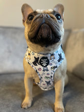 Load image into Gallery viewer, Adjustable Harness - Frenchie Fanatics