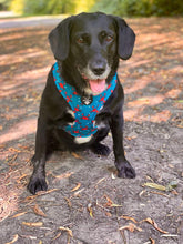 Load image into Gallery viewer, Adjustable Harness - Just be-claws I Love you