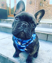 Load image into Gallery viewer, Adjustable Harness - You had me at Camo