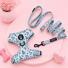 Load image into Gallery viewer, D ring Adjustable harness - Ohana means family
