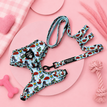 Load image into Gallery viewer, D Ring Harness - Paws up for Toys
