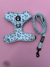 Load image into Gallery viewer, D ring Adjustable harness - Ohana means family
