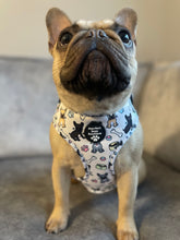 Load image into Gallery viewer, Adjustable Harness - Frenchie Fanatics
